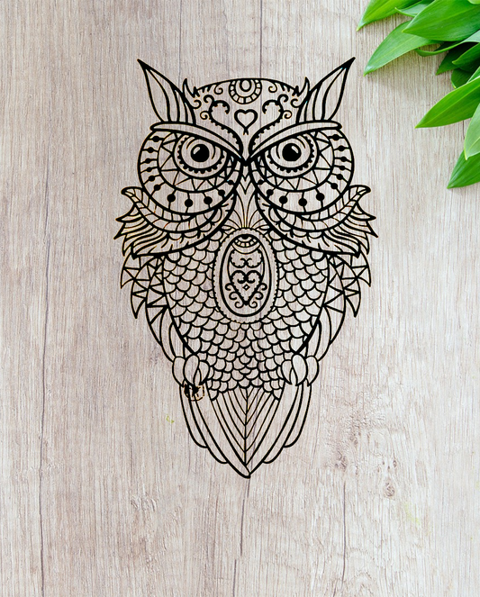 Rustic Owl Wall Art